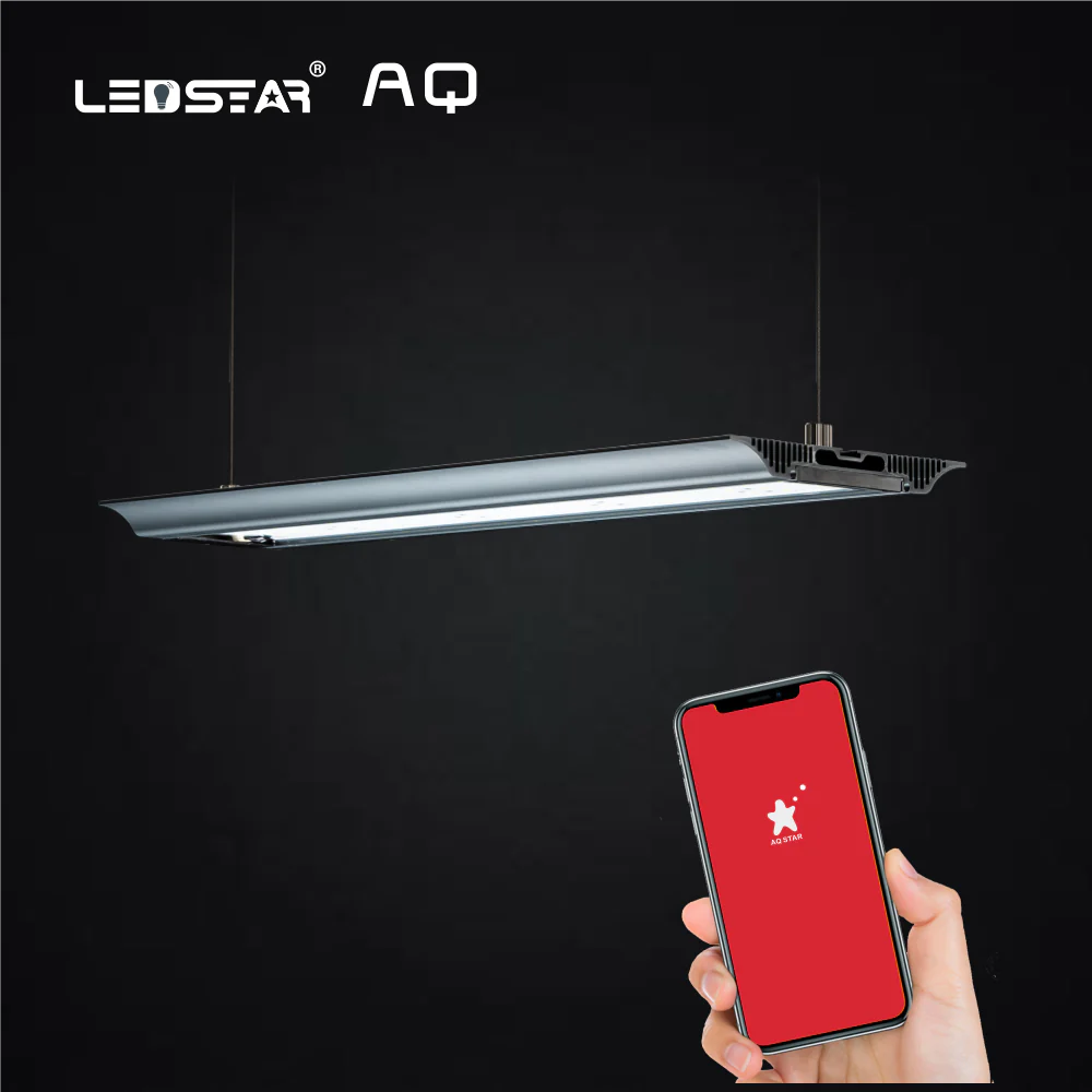 LEDSTAR AQJ Series RGBW Led Light | AquaticMotiv