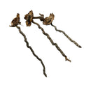 Three dried brown lotus seed pods with twisted stems, Coconut Petal Stem