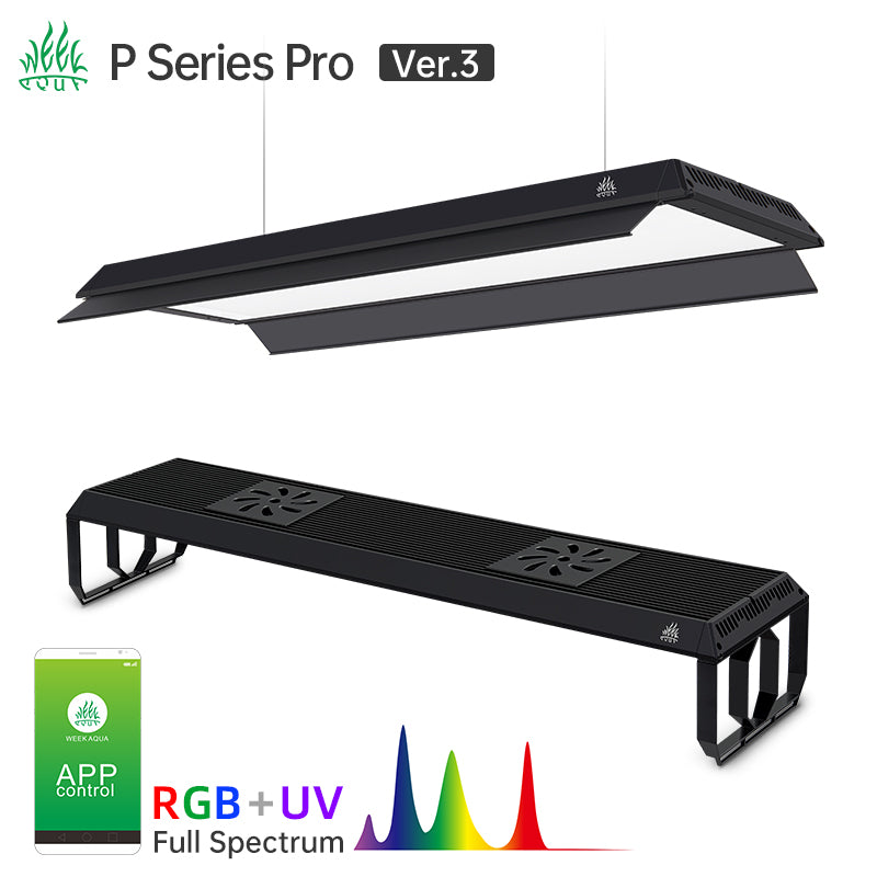Week Aqua P series - [AquaticMotiv]