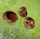Red Lip Nerite Snail x3 (NERITINA VIOLACEA) - AquaticMotiv