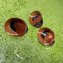 Three glossy brown red lip nerite snail shells with dark interiors and white streaks floating on green water