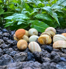 Ceramic egg-shaped garden ornaments in earthy speckled tones