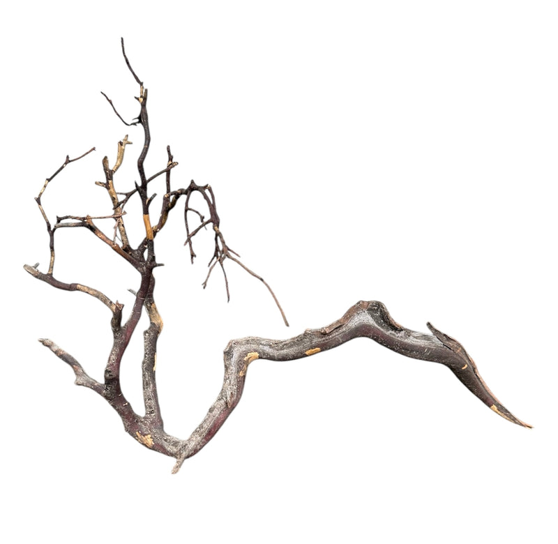 Manzanita Wood - [AquaticMotiv]