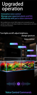 Netlea AT5s V3 - [AquaticMotiv]