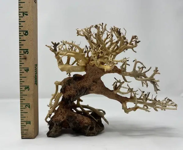 Bonsai Driftwood Design Ideas for Natural Aquascapes