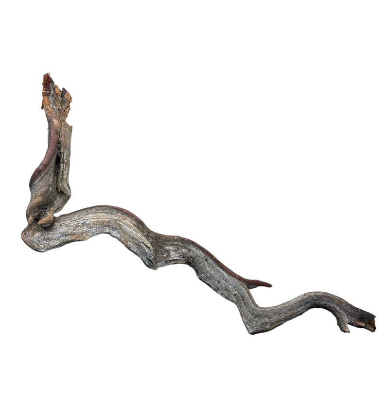 Manzanita Wood - Twisted - [AquaticMotiv]