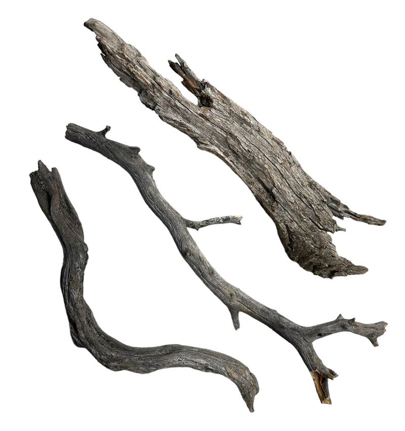 Manzanita Wood - Log and Staff - [AquaticMotiv]