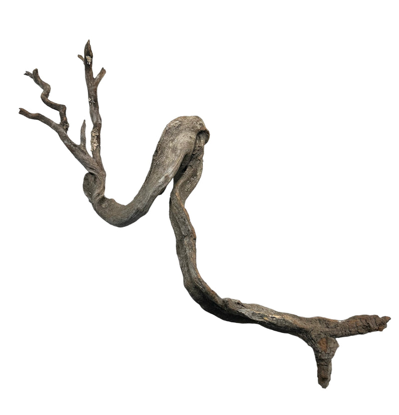 Manzanita Wood - Twisted - [AquaticMotiv]