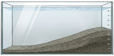 How Deep Should Your Aquarium Substrate Be? The Ultimate Guide
