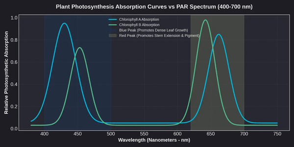 Guide to Planted Aquarium Light Color Temperature (Kelvin Rating)