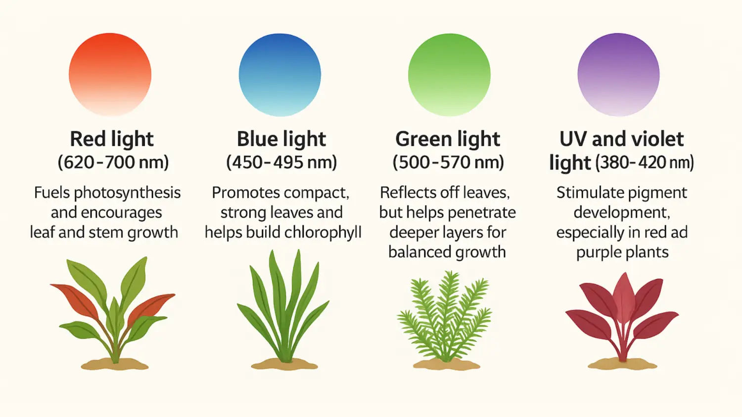 How Does Spectrum Balance Affect Plant Growth More Than Brightness?