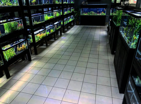 OUR PLANT ROOM
