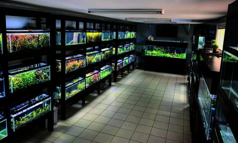 OUR PLANT ROOM