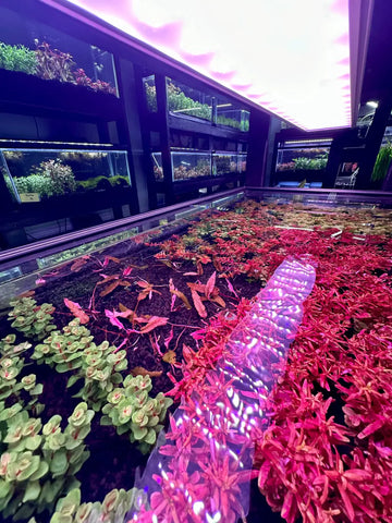 evmlookbook_expertvillagemedia