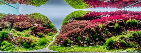 PAR a look at photosynthetically active radiation.