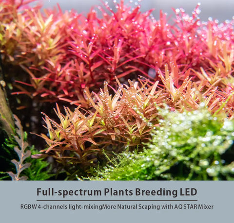 LEDSTAR AQS Pro AURORA LED Light