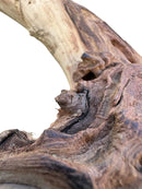 Wooden driftwood sculpture with natural textures and earthy tones