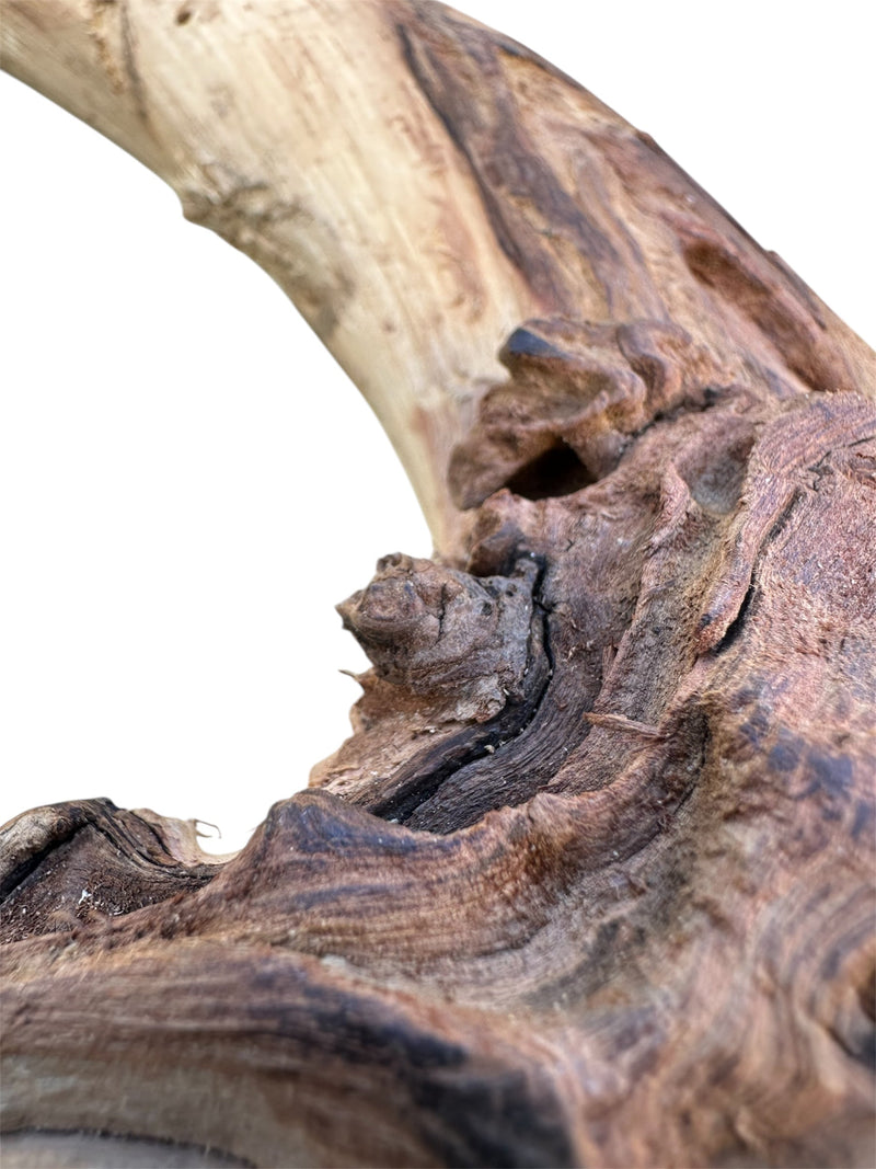 Amazon Wood - [AquaticMotiv]