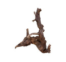 Driftwood sculpture in natural brown tones for Amazon Wood