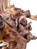 Driftwood sculpture with intricate natural patterns in earthy tones, Amazon Wood