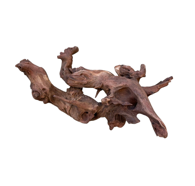 Amazon Wood - [AquaticMotiv]