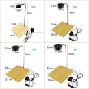 Aquarium Display Stand w/ LED Light for Nano Tanks and Terrariums - AquaticMotiv