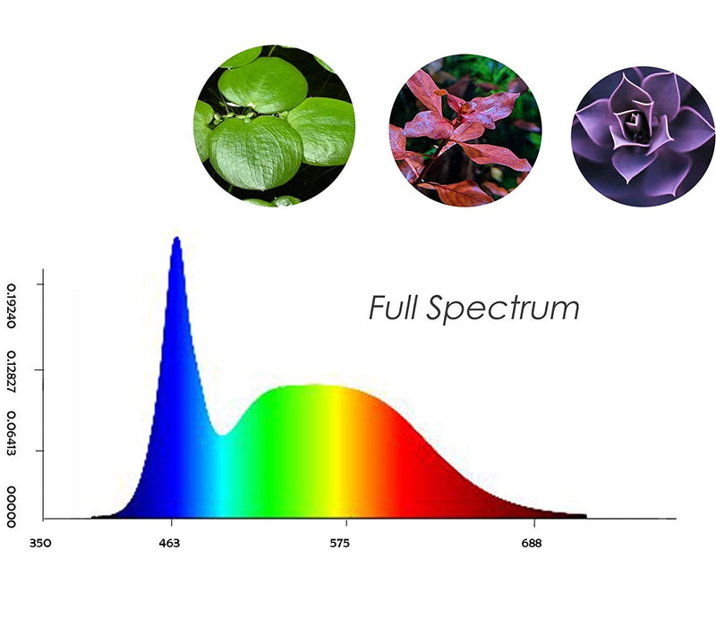 Aquarium Display Stand w/ LED Light for Nano Tanks and Terrariums - AquaticMotiv