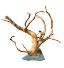 Spider Wood on Slate - [AquaticMotiv]