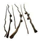 Coconut Palm Stem - [AquaticMotiv]