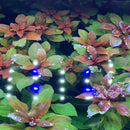 Blue LED string lights with white bulbs among AquaticMotiv plants in water