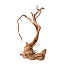 Azalea Wood driftwood sculpture with twisted branches and rugged texture