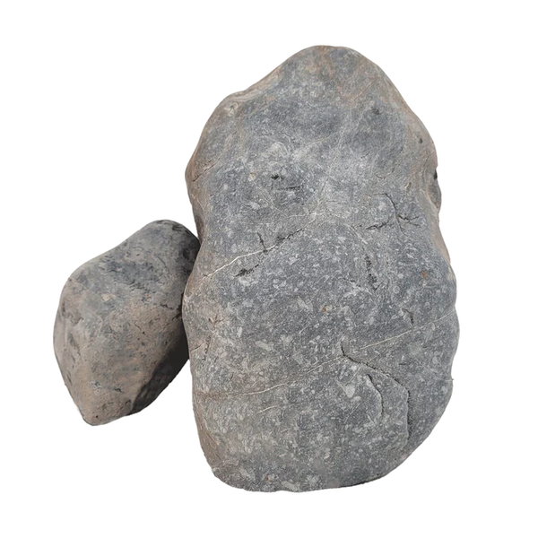 Black Venom Boulder - [AquaticMotiv]