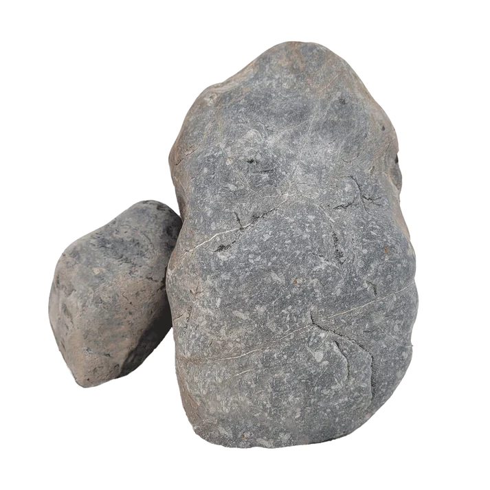 Black Venom Boulder - [AquaticMotiv]