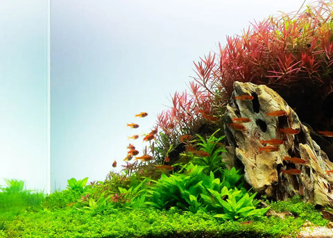 The Truth about Liquid Carbon: What is it and how does it work?