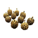 Gold Casuarina Pods pinecone ornament set of 8