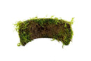 Green moss-covered half-circle planter on coconut shell bridge