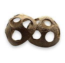 Two natural brown coconut shell halves with multiple circular cutouts for Coconut Hut