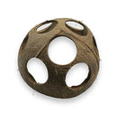 Brown natural coconut shell toy with five circular cutouts, Coconut Hut w/ holes