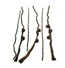Dark brown gnarled coconut palm stem with twisted knotted branches