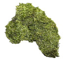 Green moss-shaped Coral Moss wall art piece