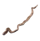 Weathered light brown dragon wood driftwood with sinuous twists