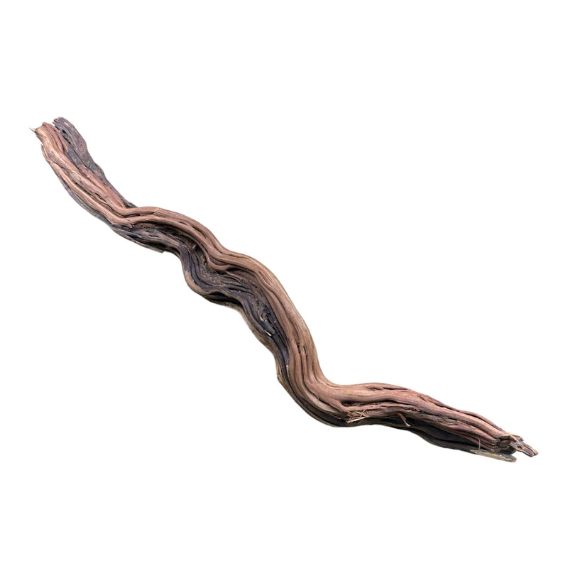 Dragon Wood - [AquaticMotiv]