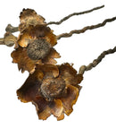 Dried brown Coconut Petal Stem with curled petals and twisted wooden stems