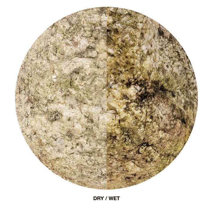 Elderly Boulder - [AquaticMotiv]