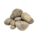 Elderly Nano Boulder - [AquaticMotiv]