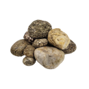 Elderly Nano Boulder - [AquaticMotiv]