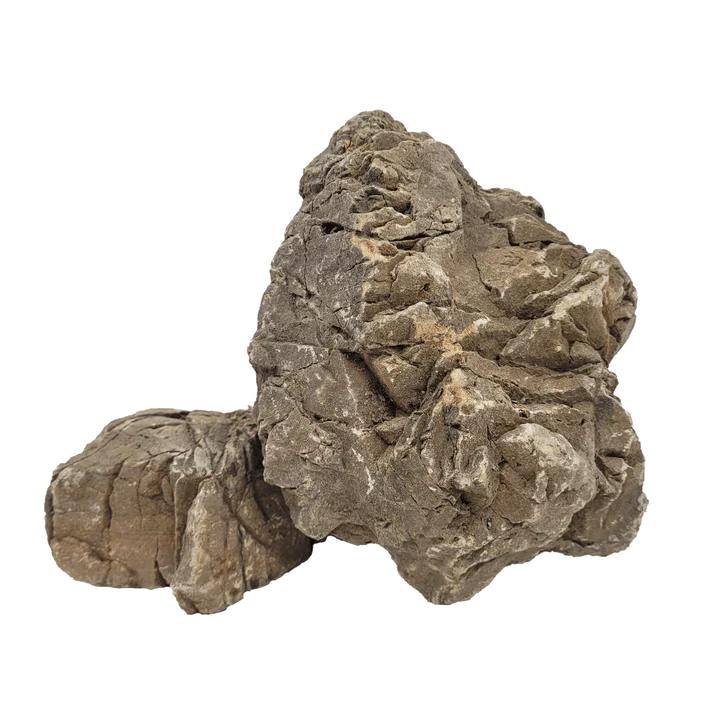 Elderly Stone - [AquaticMotiv]