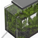 Glass lily pipe set in clear aquarium with green plants and dark gravel