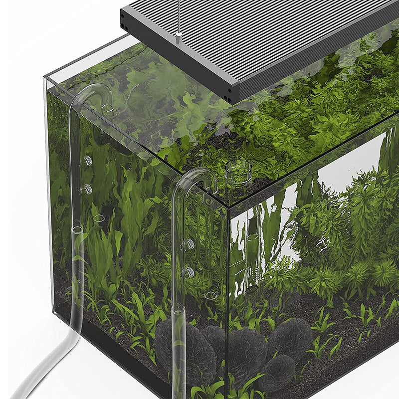 Glass Lily Pipe Set - AquaticMotiv