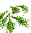 Glossostigma microgreen 6-bunch pack with vibrant green leaves and rubber bands